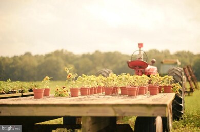 1202 Windsor Rd, West Windsor, NJ 08550 - photo 6