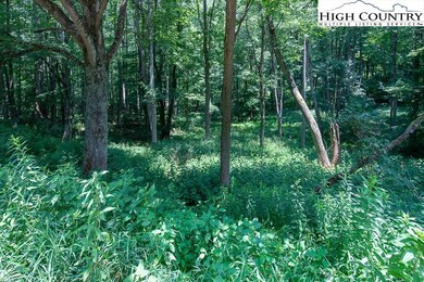 2691 Poplar Grove Rd S unit 4, Boone, NC 28607 - photo 6