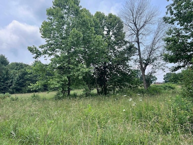 0 Blossom Loop, Clinton, AR 72031 - photo 6