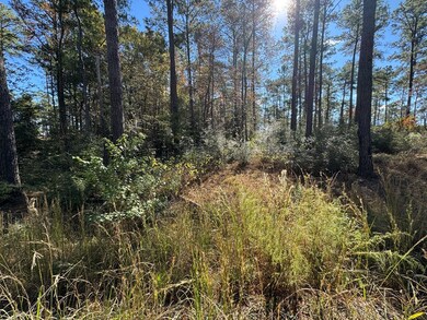 051 Private Road 6028, Brookeland, TX 75931 - photo 5