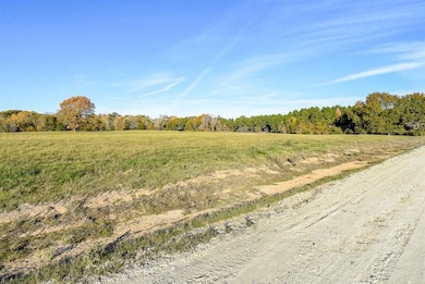 111 Buckhorn Creek Dr, Crockett, TX 75835 - photo 4