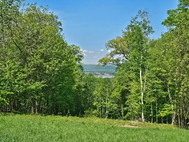 3 Park Ct unit Lot 3, Freeman, WI 54624 - photo 3