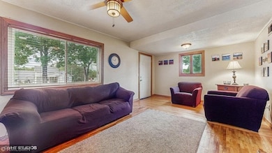 501 2nd St SW, Cannon Falls, MN 55009 - photo 5