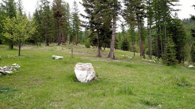 970 Spring Hill Rd, Kila, MT 59920 - photo 2