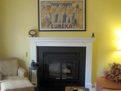 Gas fireplace