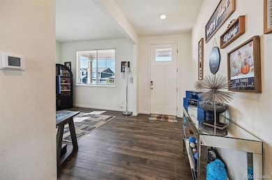 5261 Janga Dr, Colorado Springs, CO 80924 - photo 5