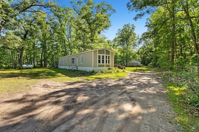 11526 N Bingham Ave, Bitely, MI 49309 - photo 3