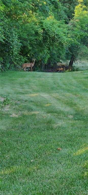 1750 E Diehl Ave, Des Moines, IA 50320 - photo 2