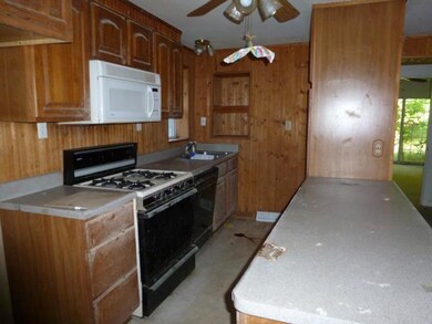 209 Walnut St, Marshall, MI 49068 - photo 4