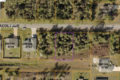 Lot 41 YACOLT AVE, NORTH PORT FL 34286