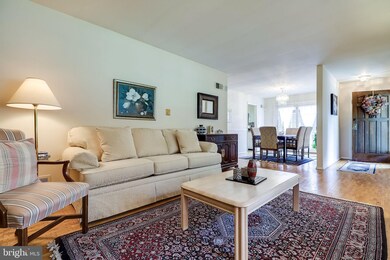 7801 Lee Ave, Alexandria, VA 22308 - photo 7