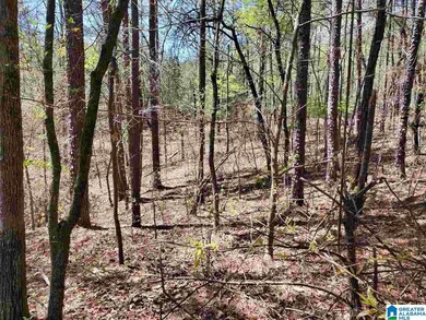 0 Autumn View Dr unit 21438447, Chelsea, AL 35147 - photo 5