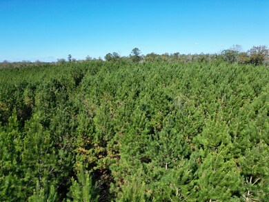 0000 Highway 82, Eufaula, AL 36027 - photo 6