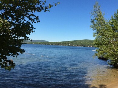 30 Old Bay Rd, New Durham, NH 03855 - photo 5