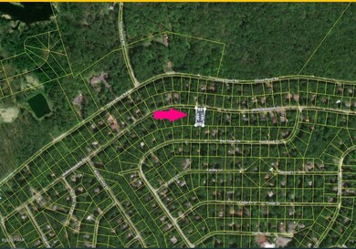 46 Wallenpaupack Dr, Paupack Township, PA 18436 - photo 2