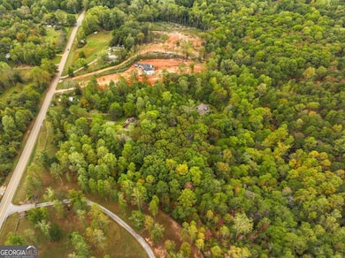 6418 Dawsonville Hwy, Dahlonega, GA 30533 - photo 2