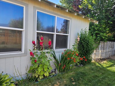 Humming bird garden
