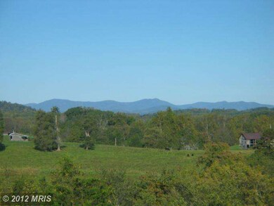 801 Twymans Mill Rd, Radiant, VA 22732 - photo 7