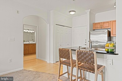 12954 Centre Park Cir unit 303, Herndon, VA 20171 - photo 7