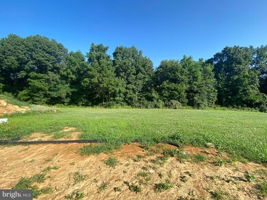 17465 Senedo Rd, Edinburg, VA 22824 - photo 6