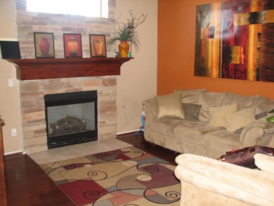 Family Room/Fireplace