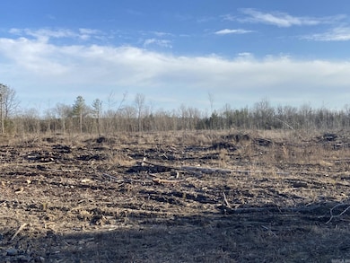 0 Ozan A unit 24032571, Ozan, AR 71855 - photo 4