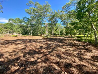 209 Oak Ln, West Tisbury, MA 02575 - photo 2