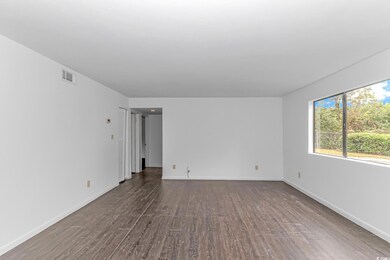 Spare room featuring dark wood-type flooring