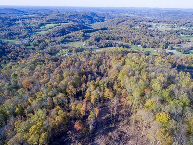 25ac Brotherton Mtn Rd, Cookeville, TN 38506 - photo 5