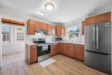 314 Maryland Ave, Crystal Beach, FL 34681 - photo 7