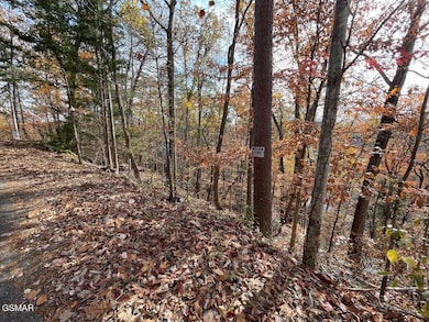Lot 34R Sugar Mountain Way, Pigeon Forge, TN 37863 - photo 2