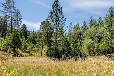 1712-Lot 304 The Point, Meadow Vista, CA 95722 - photo 3