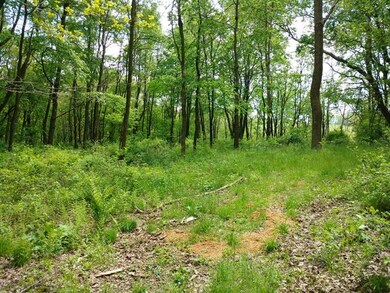84.08 acres, Rte 286 Hwy E, Commodore