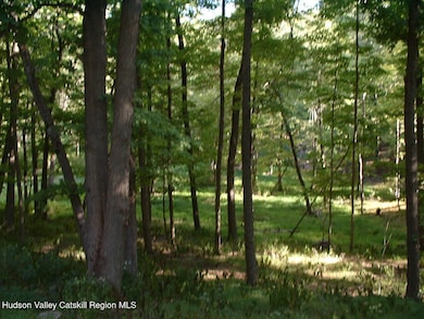 94 Miller Rd, Hudson, NY 12534 - photo 3