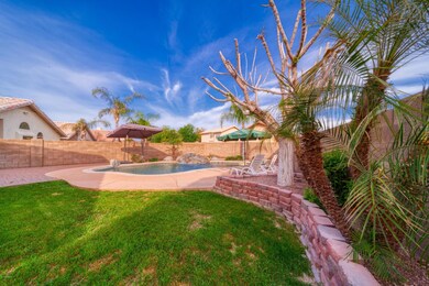 Backyard Pool area