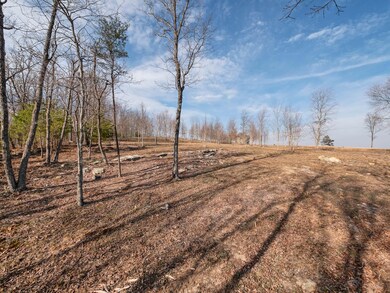 0 Hovering Hawk Dr unit 1332699, Jasper, TN 37347 - photo 7