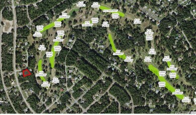 8775 N Limbo Cir, Citrus Springs, FL 34434 - photo 5