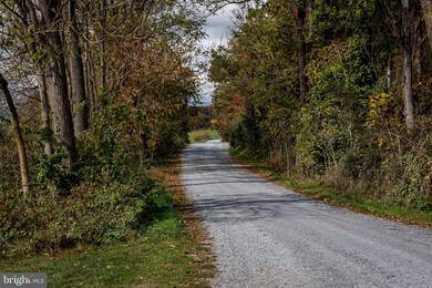 0 Log Cabin Dr unit VAPA2000388, Stanley, VA 22851 - photo 7