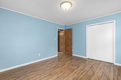 1589 Lagrange Rd, Leighton, AL 35646 - photo 5