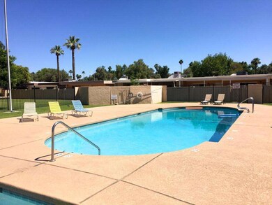 Pool Across from Home