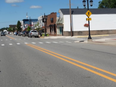 69 S Main, Cedar Springs, MI 49319 - photo 4