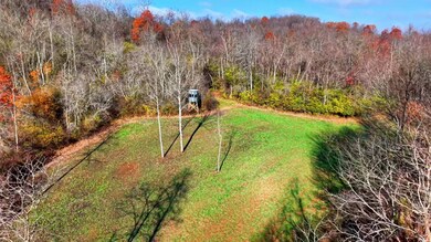 0 Homestead Dr unit 11611647, New Concord, OH 43762 - photo 5