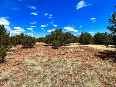 85 Co Rd 8070 --, Concho, AZ 85924 - photo 4