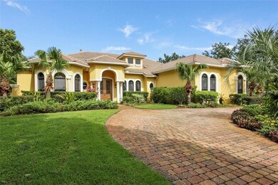 Stunning Mediterranean Style Palace!