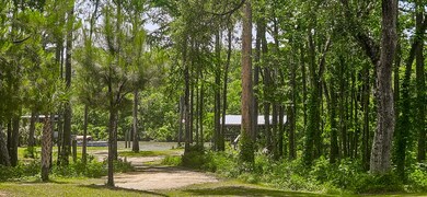 243 Belladonna Ct_Phone-5