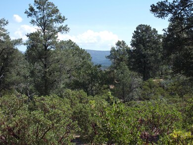 Views Northeast to Diamond Point