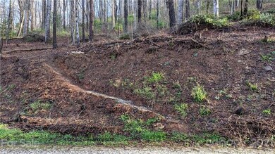 Trail into property