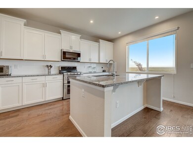 9353 Pitkin St, Commerce City, CO 80022 - photo 6