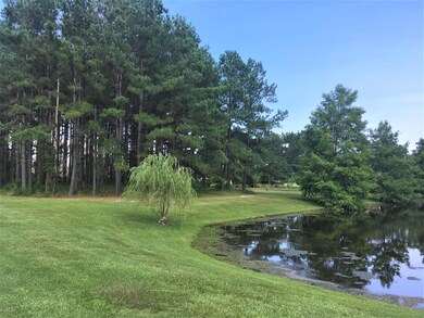 Summer by Pond