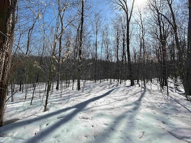 00 Margeaux Ln, Stratton, VT 05155 - photo 3